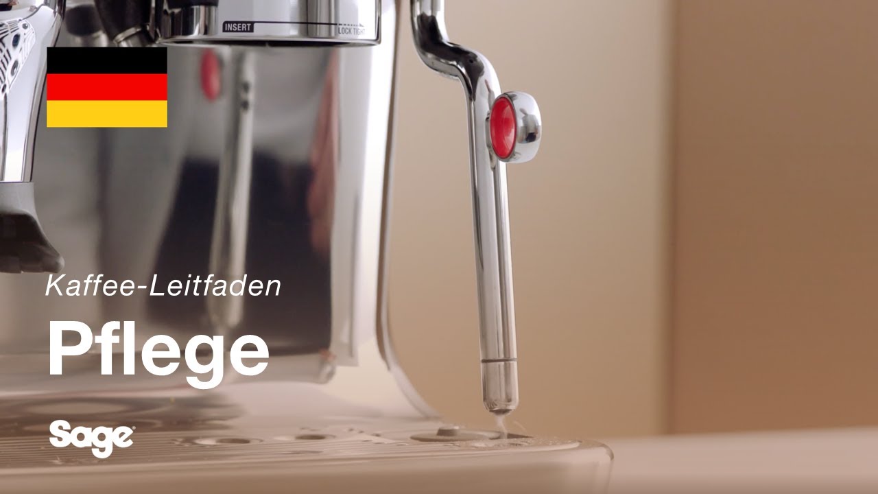 Reinigen des Dampfstabs und blockierter Löcher