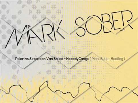 Pelari vs Sebastian Van Shiled - NobodyCango (Mark Sober Bootleg)