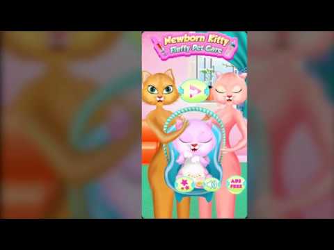 Newborn Kitty: Fluffy Pet Care Video