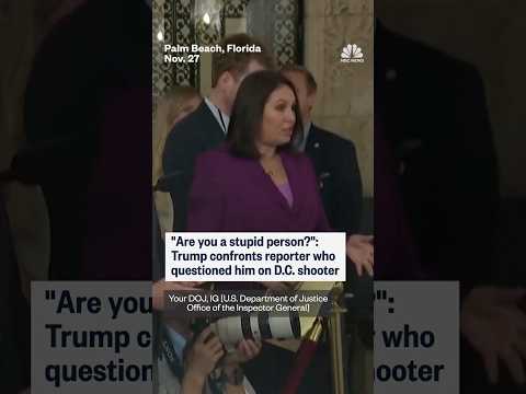 'Are you a stupid person?': Trump confronts reporter who questioned him on D.C. shooter