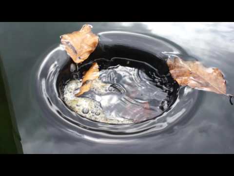 Watch Video on YouTube