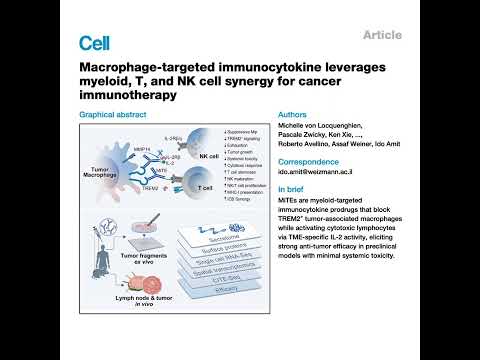 286-Myeloid-Targeted Immunocytokines