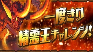 [단 한번의 정령왕 챌린지 1] 리체 pt.