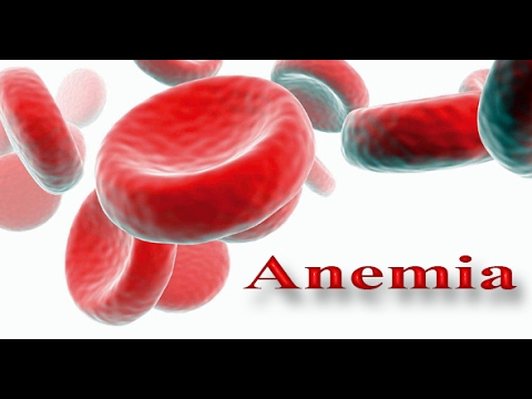 Ang paggamit ng goji berries para sa pagbaba ng timbang Kung magkano ang maaaring mawalan ng timbang sa isang linggo sa protina diyeta