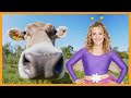 Daisy S Moo Tastic Milk Adventure Preschool Counting Numbers Farm Animals