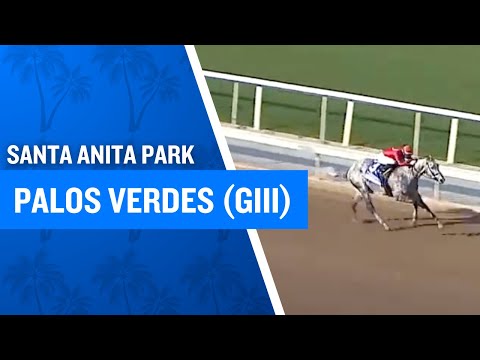 2025 Palos Verdes Stakes (G3) at Santa Anita Park