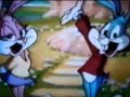 Tiny Toon Adventures Intro Dutch