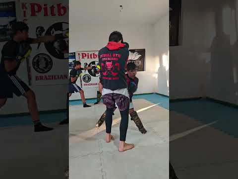 LOS LEMITOS IN A DAMN THERAPY IN PITBULL GYM JUNÍN DE LOS ANDES