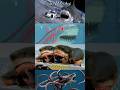 Las Películas Más Ridículos De Tiburones Top Cine Peliculas