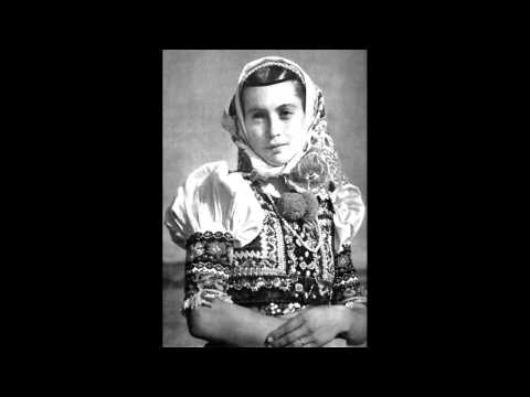 Petra Lisková a Paľo Liska - A pod hájom (Slovak Folk Song)