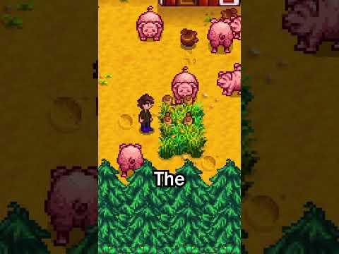 How To Get INFINITE Food For Your Stardew Valley Animals
