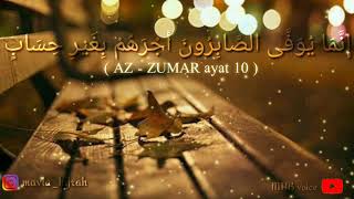 Download lagu #Story WA keren.                                                 Kesabaran dan keyakinan mp3