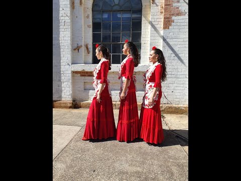 "Las Flamenkas" featured in Shir Lamaalot - Amir Paiss