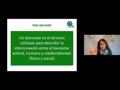 43° Congreso AAPA -  Plenaria Rebeca García Pinillos