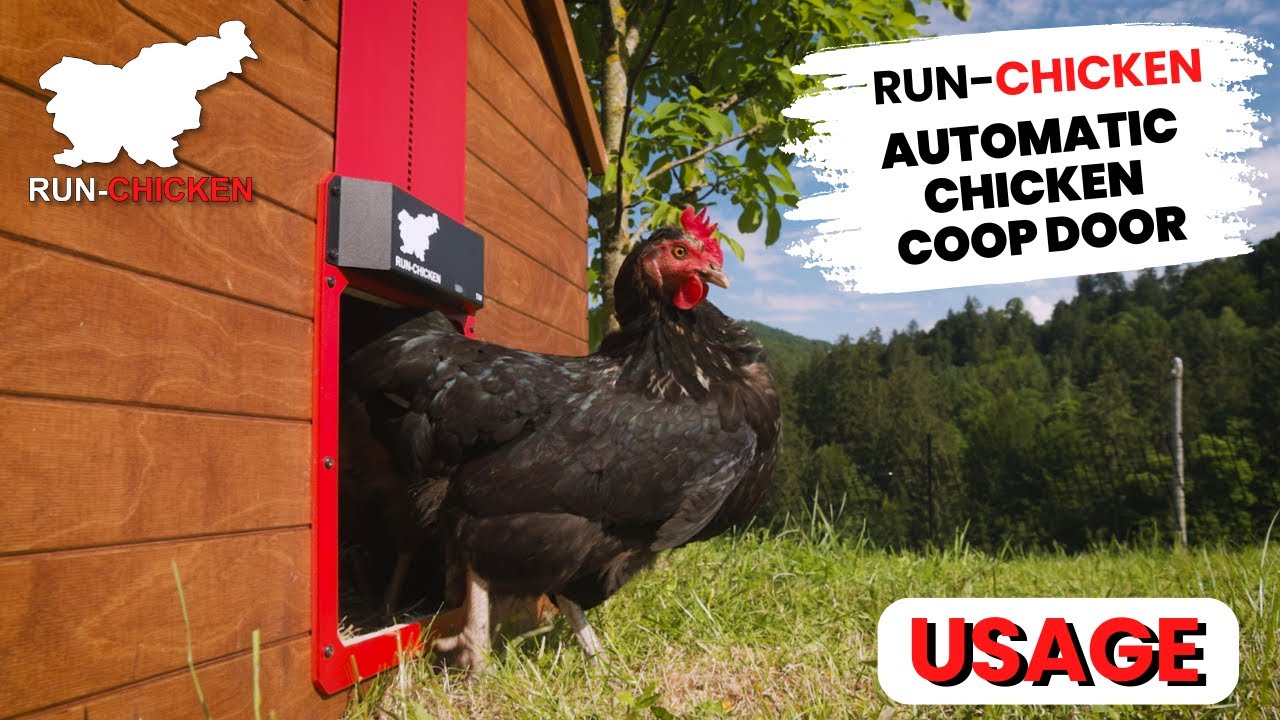 RUN-CHICKEN automatic coop door (How to use?)