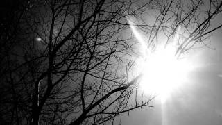 &quot;Life is Hard&quot; - Bob Dylan