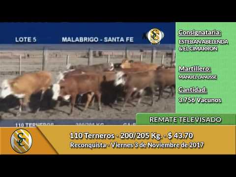 03-11-17 - Ventas Remate Televisado de Esteban Abelenda & El Cimarrón - Reconquista