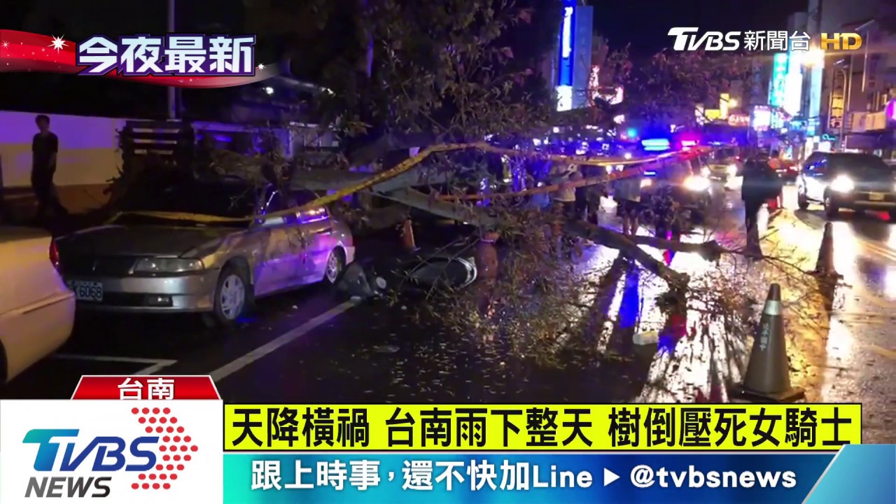 行駛間路樹突倒塌 無辜女騎士遭壓亡