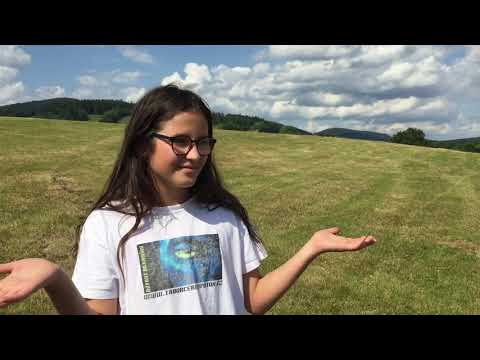 Otazník - Ztráty a nálezy