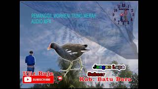 Download lagu SUARA MORHEN/ TIUNG MERAH mp3