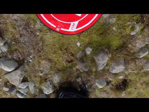 Livestream von alonsino guarda bene