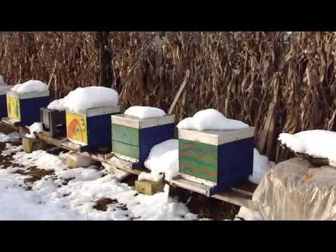 158. Operatiunea '' Deszapezirea ''