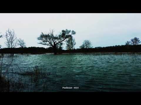 Psaikozet - 4514