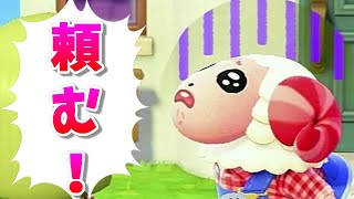 大事件！ちゃちゃまるが泣きながら相談に来た理由がヤバイ！！【あつまれどうぶつの森】【あつ森】【Animal Crossing】【会話】