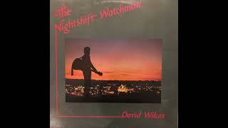 David Wilcox- Frozen In The Snow (1987 Song of the Wood Music Records)