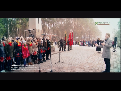 Kokia nuostabi, Lietuva esi (Alytus 2017-02-16)