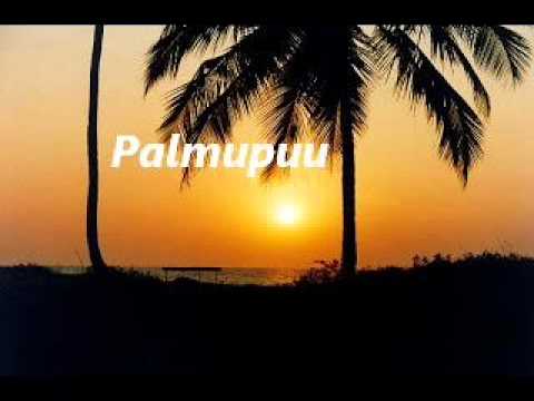 download lagu mp3 mp4 Palmupuu, download lagu Palmupuu gratis, unduh video klip Palmupuu