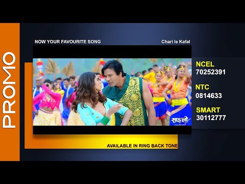 Chari le Kafal - अब आफ्नो मोबइलमा सुन्न सक्नुहुनेछ - SANGLO - Biraj Bhatta, Nikita Chandak