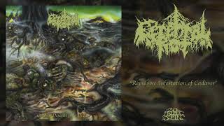 Music video thumbnail preview for CEREBRAL ROT - Repulsive Infestation Of Cadaver (From 'Odious Descent Into Decay LP', 2019) by Cerebral Rot