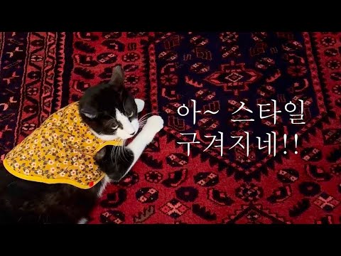 괴롭히는 거 아님!!^^ 겨울엔 따뜻하게 무조건 따뜻하게 촌스러워도 괜찮아~