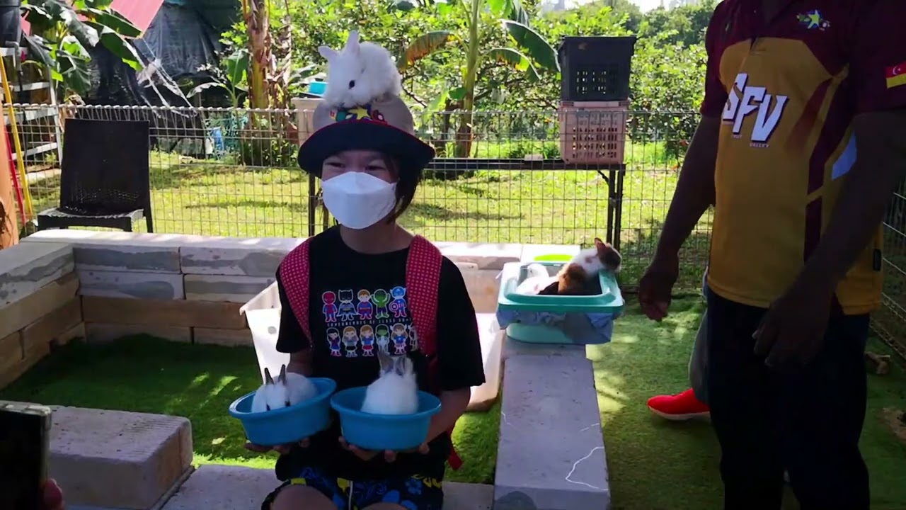 Best Agrotourism in Malaysia, Selangor Fruit Valley: With lots of interactive activities.