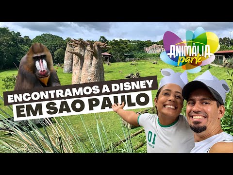ANIMÁLIA PARK, A DISNEY BRASILEIRA | PARQUE INCRÍVEL EM SÃO PAULO