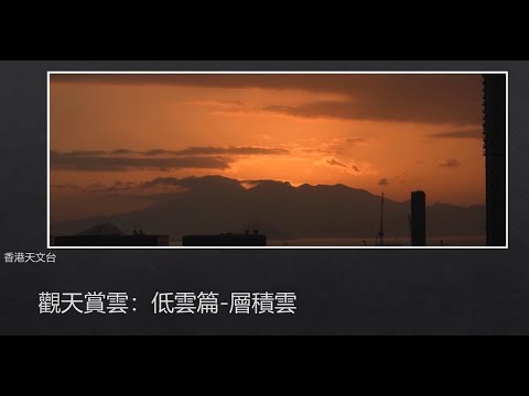 觀天賞雲 : 低雲篇 - 層積雲