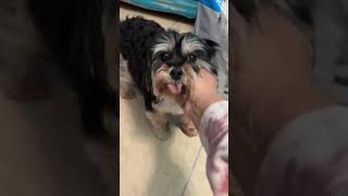 It’s Ella and Oreo time!! It’s Ella and Oreo time!!