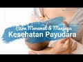 Cara Merawat Dan Menjaga Kesehatan Payudara Bagi Ibu Menyusui