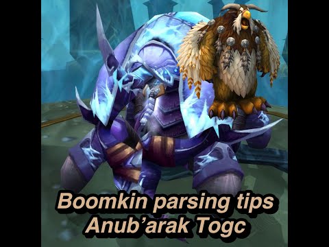 WOTLK: Classic Boomkin parsing tips, Anub'arak TOGC