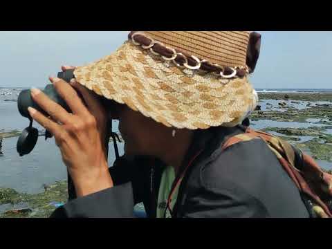 Playa del Chivo. La Habana, Cuba. #birding 
