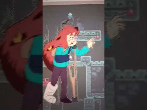 The first experience of beginners in Celeste...