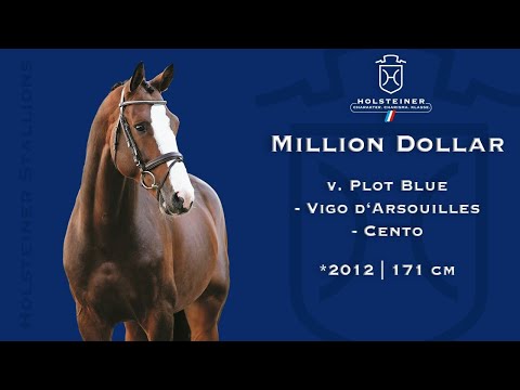 Holsteiner Verbandshengste 2023 | Million Dollar