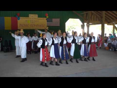 2010 Romania Picnic - Hora dance 4 : Salaj