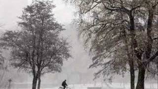 SECRET SERVICE WITH   DAVID GATES  &  RONNIE MILSAP (80"S)