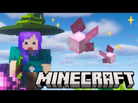 Pixies will FIGHT for Me!✨ | Ep9 | Minecraft Witch Craft SMP
