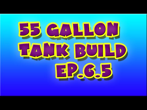 55 Gallon Tank Build - Dry Rock Update Ep.6.5