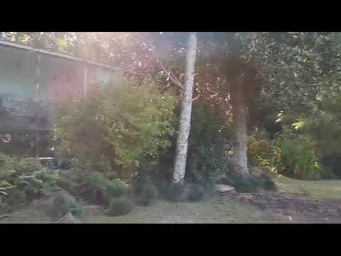 Paseo por el Delta de Tigre, Buenos Aires