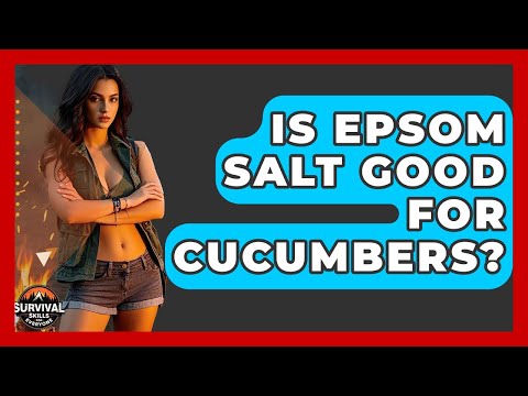 Is Epsom Salt Good For Cucumbers? - Survival Skills for Everyone