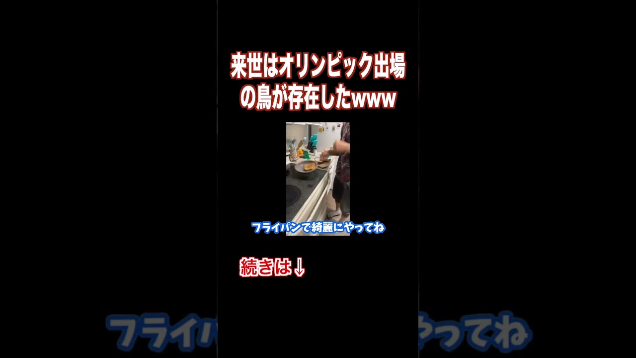 鳥界のオリンピック選手がこちらw w w w w